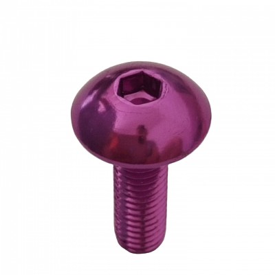 BCL0014 custom aluminum  inner hexagon screws